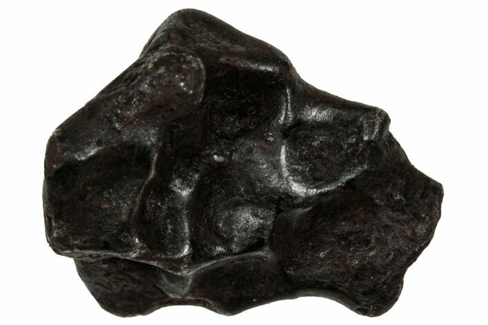 Fusion Crusted Sikhote-Alin Iron Meteorite ( g) - Russia #334573